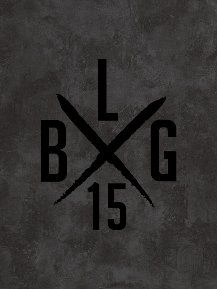 LBG X-LOGO [big] – Bild 2