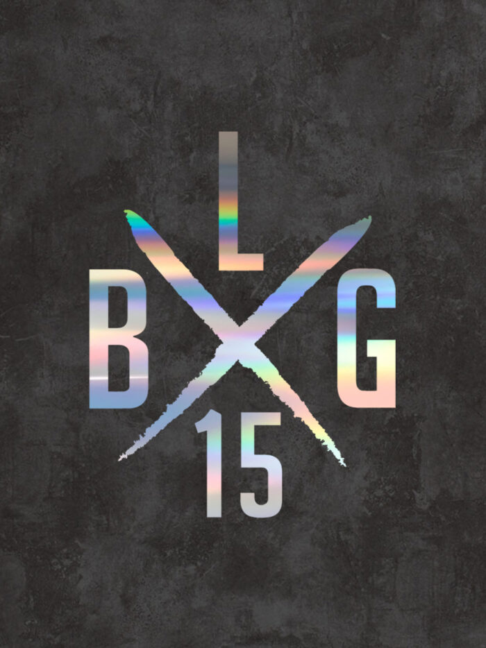 LBG X-LOGO [big] – Bild 5