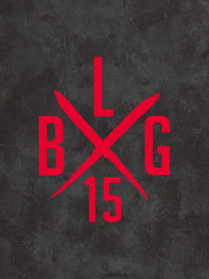 LBG X-LOGO [big] – Bild 3