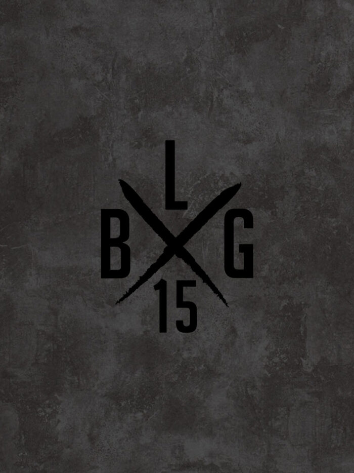 LBG X-LOGO [medium] – Bild 2