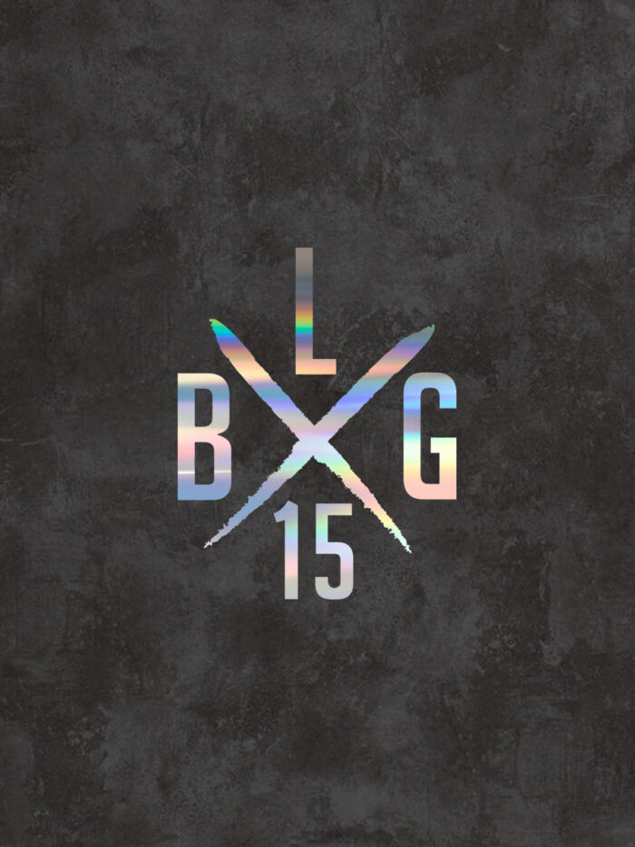 LBG X-LOGO [medium] – Bild 5