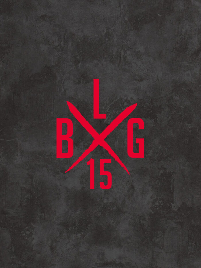 LBG X-LOGO [medium] – Bild 3